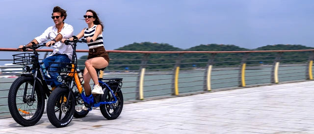 Electric Bike Ridstar MN-26, 1500W, 20Ah