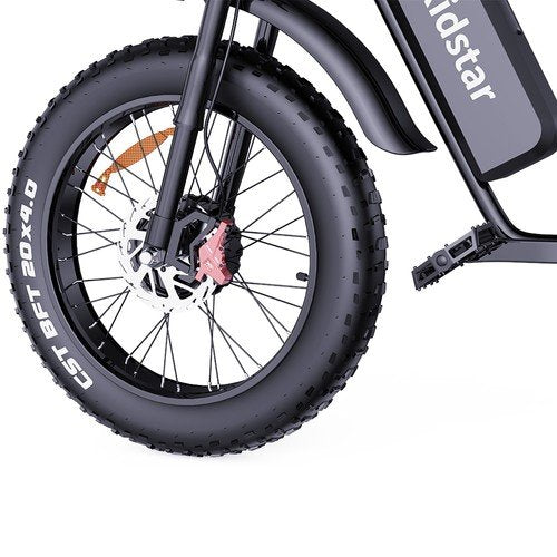 Electric bike RIDSTAR Q20PRO, 52V (2000W Dual Motor), 40AH Battery