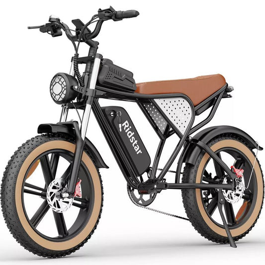 Electric bike Ridstar Q20 Luxe, 48V, 1000W (1500W), 20Ah battery, retro style