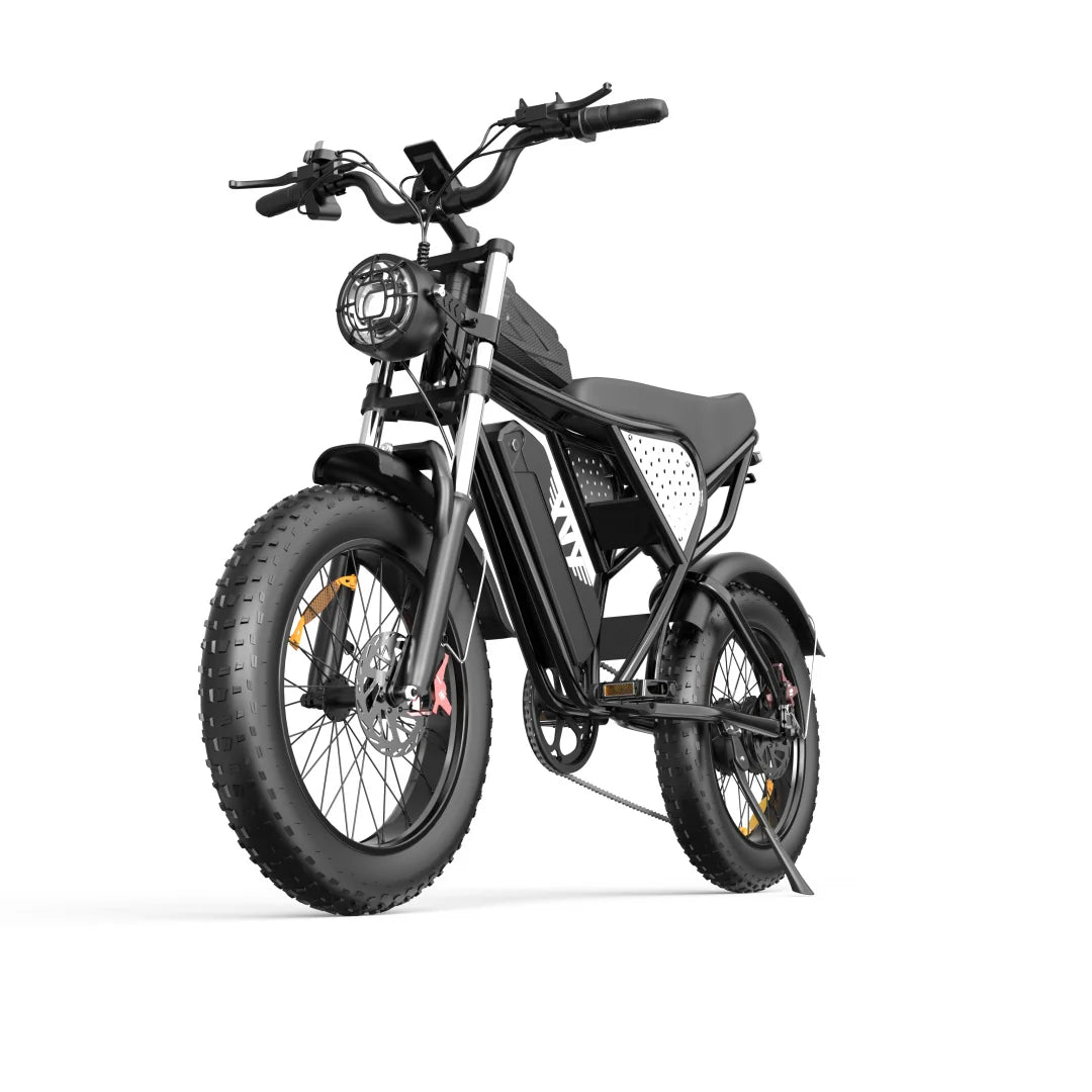 Electric bicycle YVY C20, 1000W, 48V, 20AH, 20×4.0 Fat tires