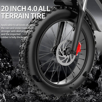 Electric bike RIDSTAR Q20PRO, 52V (2000W Dual Motor), 40AH Battery