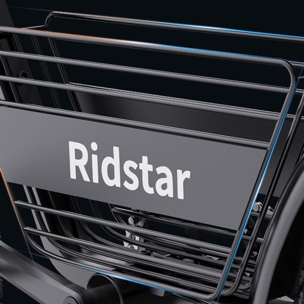 Electric bike Ridstar CR20, 48V, 1000W, 15Ah battery