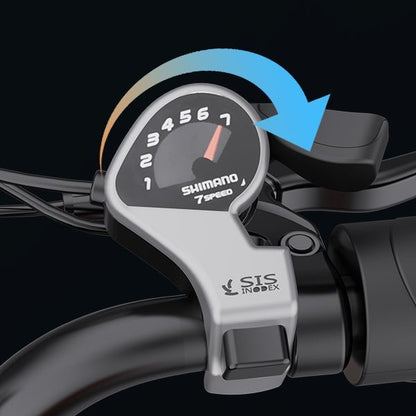 Electric bike Ridstar CR20, 48V, 1000W, 15Ah battery