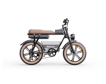 Electric bike Ridstar CR20, 48V, 1000W, 15Ah battery
