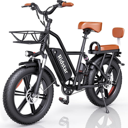 Electric bike Ridstar FM001, 48V, 1000W, 15Ah, 2-Seater