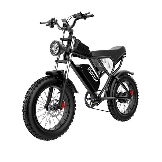 Electric bicycle Ridstar Q20, 1000W, 48V, 20AH, 20×4.0 Fat tires