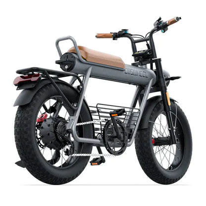 Electric bicycle Coswheel CT20, 48V, 1000W (peak 1500W), 25Ah battery