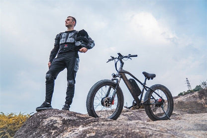 Electric bicycle Lankeleisi MG740PLUS, two motors (2x1000W), 48V, 20Ah