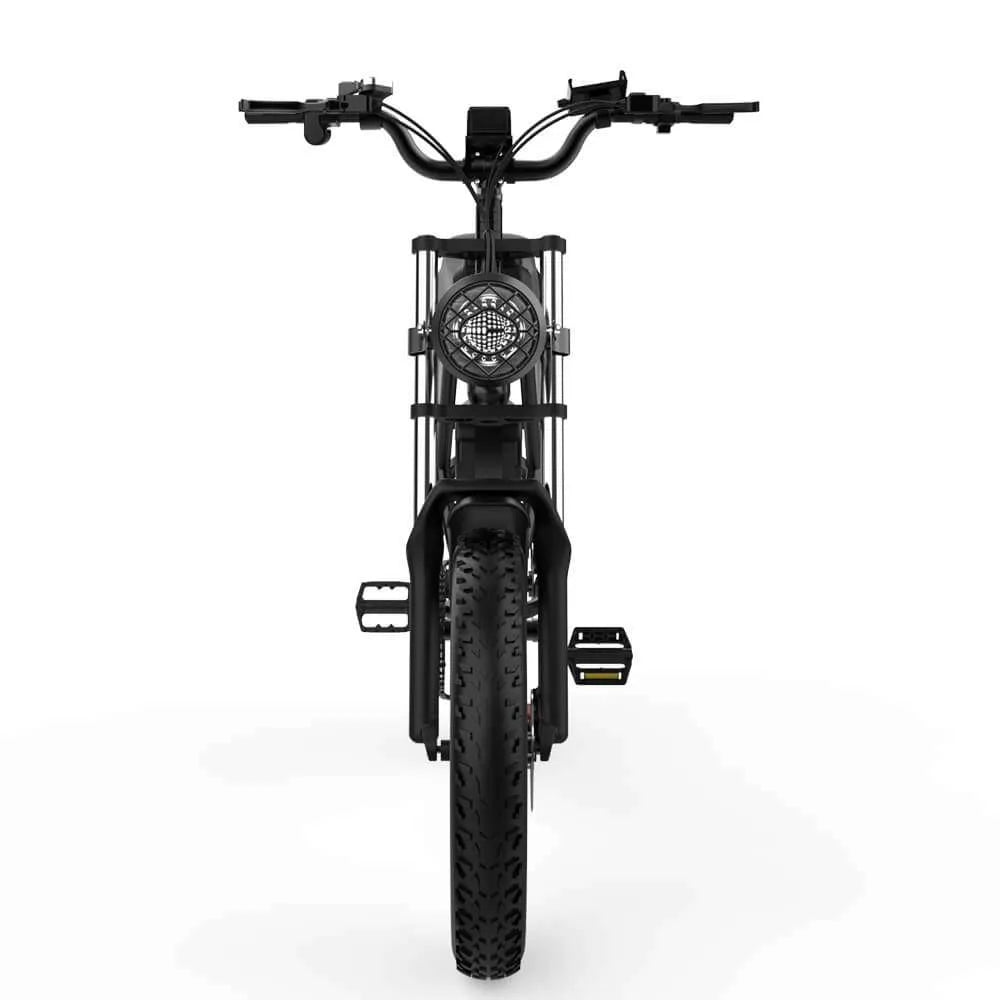 Electric bicycle Ridstar Q20, 1000W, 48V, 20AH, 20×4.0 Fat tires