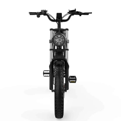Electric bicycle Ridstar Q20, 1000W, 48V, 20AH, 20×4.0 Fat tires