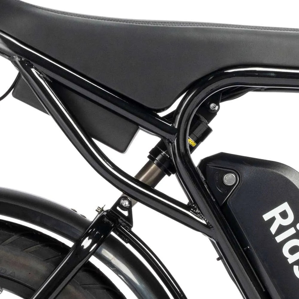Electric bicycle Ridstar Q20, 1000W, 48V, 20AH, 20×4.0 Fat tires