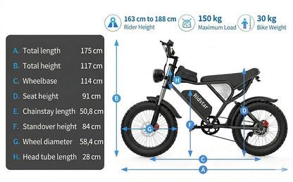 Electric bicycle Ridstar Q20, 1000W, 48V, 20AH, 20×4.0 Fat tires