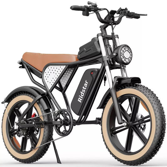Electric bike Ridstar Q20 Luxe, 48V, 1000W (1500W), 20Ah battery, retro style