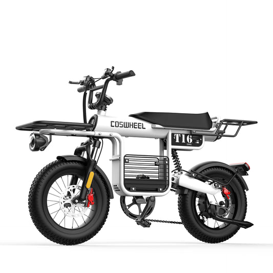 Electric Bike Coswheel T16, 750W (1000W peak) motor, 20Ah battery, NFC