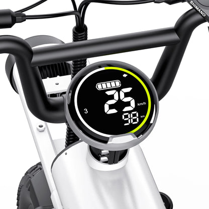 Electric Bike Coswheel T16, 750W (1000W peak) motor, 20Ah battery, NFC