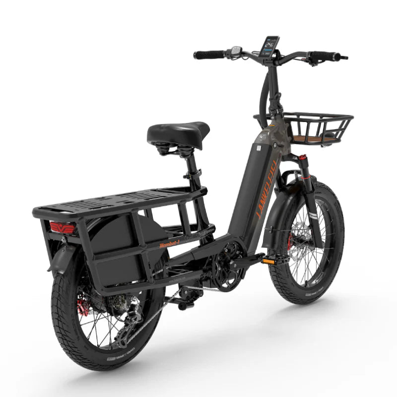 Electric cargo bike LANKELEISI Wombat-1, 1000W, 48V, 20Ah battery