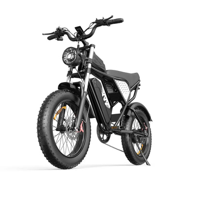 Electric bicycle YVY C20, 1000W, 48V, 20AH, 20×4.0 Fat tires