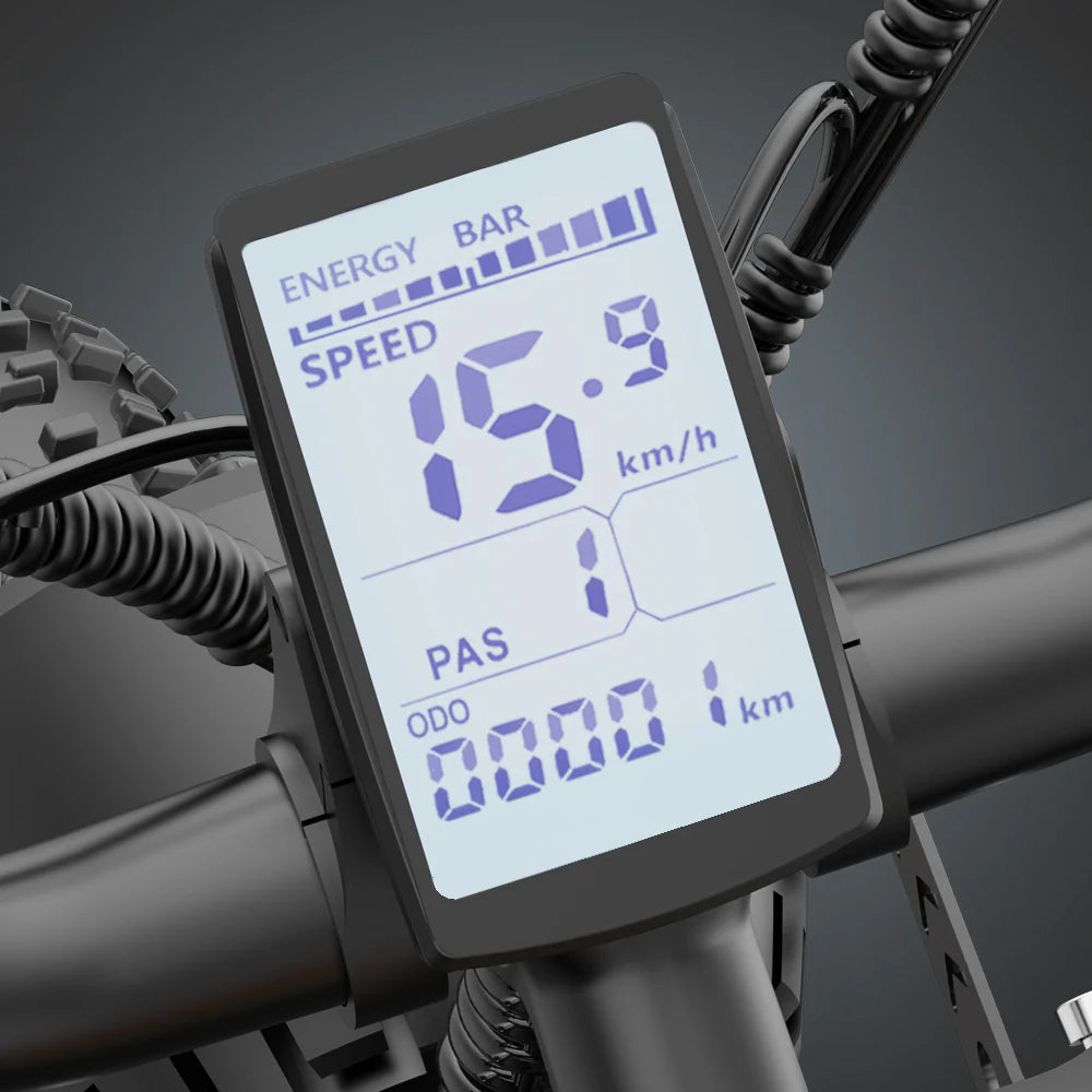 Electric bicycle YVY C20, 1000W, 48V, 20AH, 20×4.0 Fat tires