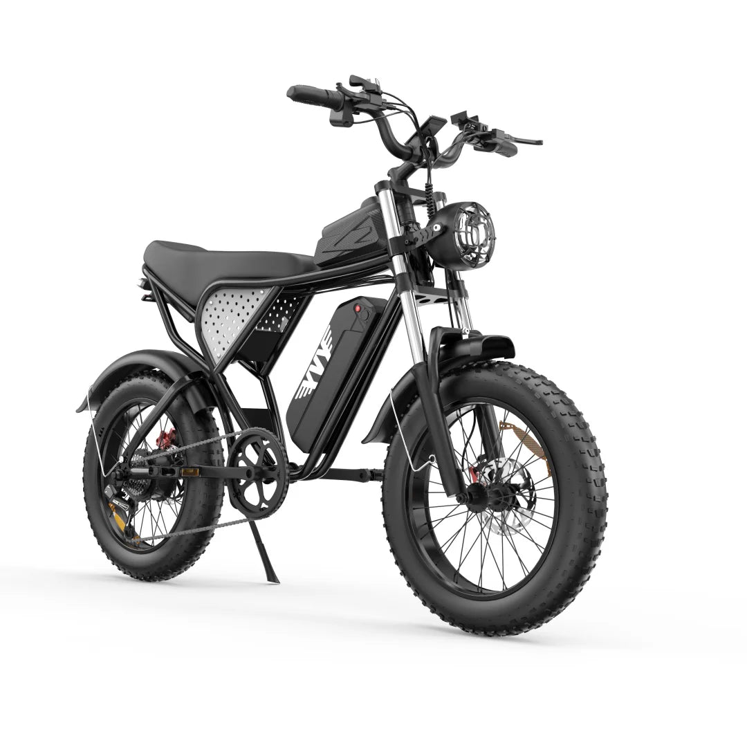 Electric bicycle YVY C20, 1000W, 48V, 20AH, 20×4.0 Fat tires