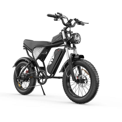 Electric bicycle YVY C20, 1000W, 48V, 20AH, 20×4.0 Fat tires