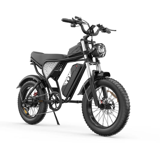 Electric bicycle YVY C20, 1000W, 48V, 20AH, 20×4.0 Fat tires